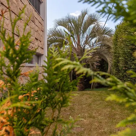 Villa Moradia De Sonho C/ Piscina E Jardim Paradisiaco Vale de Cambra