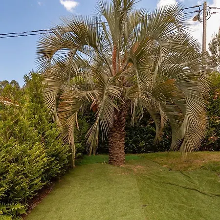 Moradia De Sonho C/ Piscina E Jardim Paradisiaco Villa *