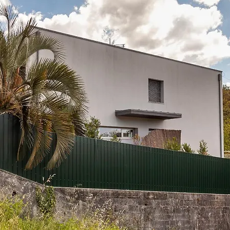Moradia De Sonho C/ Piscina E Jardim Paradisiaco Vale de Cambra