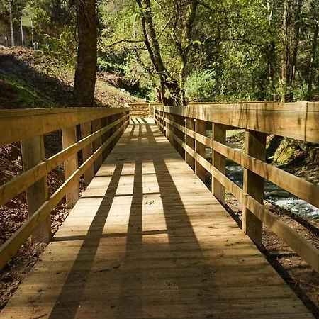 Moradia De Sonho C/ Piscina E Jardim Paradisiaco * Vale de Cambra