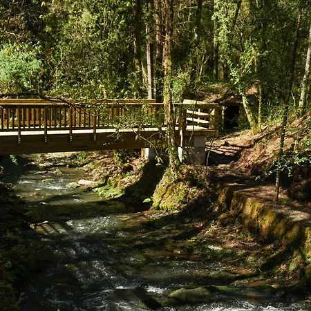 Moradia De Sonho C/ Piscina E Jardim Paradisiaco Villa Vale de Cambra