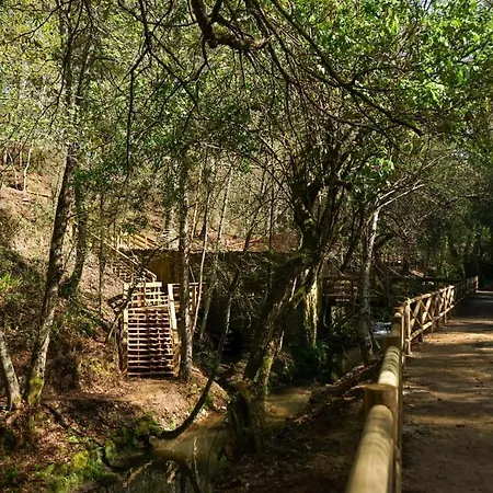 Moradia De Sonho C/ Piscina E Jardim Paradisiaco Villa