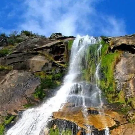 Moradia De Sonho C/ Piscina E Jardim Paradisiaco * Vale de Cambra